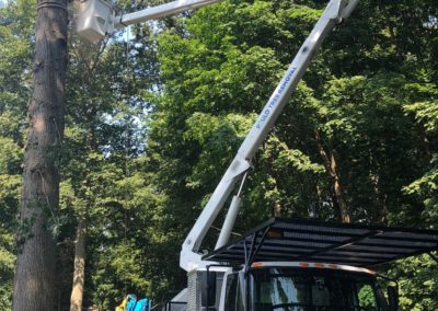Paulo Landscaping and Tree Removal, LLC