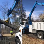 Fairfield, CT Tree Removal Company
