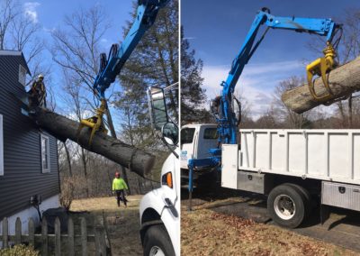 Fairfield, CT Tree Removal Company
