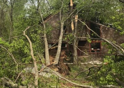 Emergency Tree Removal in Woodbridge, CT