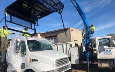 New Haven, CT | Large Tree Removal Service | Certified Arborist