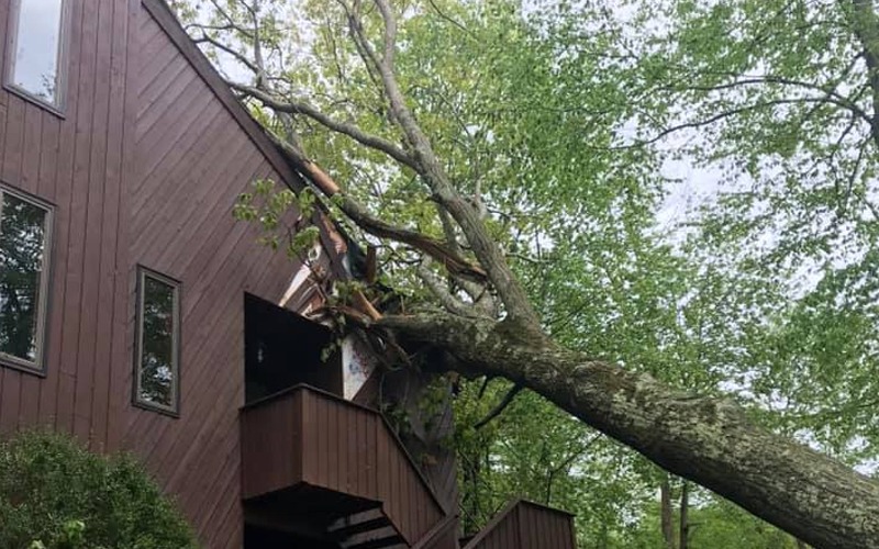 Storm damage tree removal 