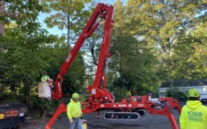 Stratford, CT | Tree Removal Project | Commercial Tree Removal