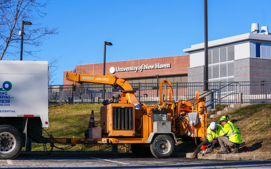 Commercial Property Landscape Maintenance Company in Shelton, CT