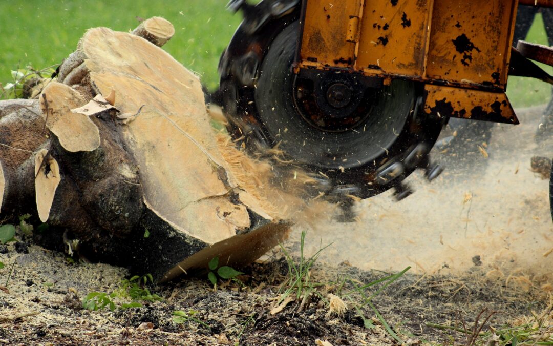 Grinding,A,Tree,Stump,For,Removal