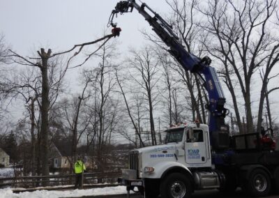 Paulo Landscaping and Tree Service in Orange, CT