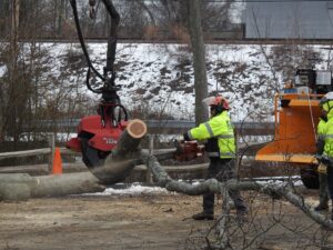 Paulo Landscaping and Tree Service in Orange, CT