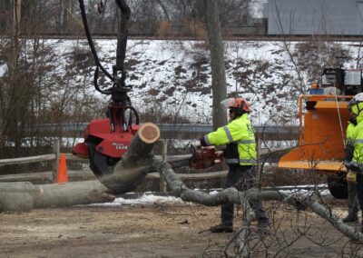 Paulo Landscaping and Tree Service in Orange, CT