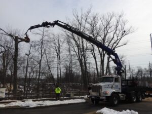 Paulo Landscaping and Tree Service in Orange, CT
