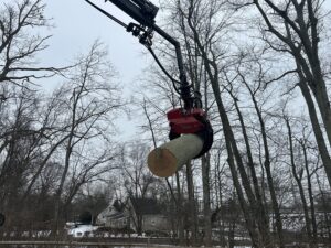 Paulo Landscaping and Tree Service in Orange, CT