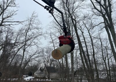 Paulo Landscaping and Tree Service in Orange, CT