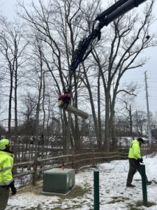 Paulo Landscaping and Tree Service in Orange, CT
