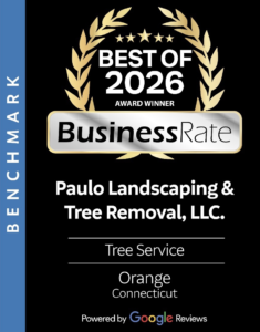 Best of 2026 Award Winner Business Rate - Powered by Google Reviews