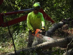 Paulo Landscaping and Tree Service in Orange, CT