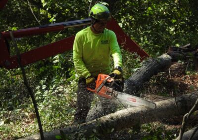 Paulo Landscaping and Tree Service in Orange, CT