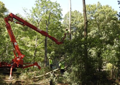 Paulo Landscaping and Tree Service in Orange, CT