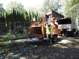 Paulo Landscaping and Tree Service in Orange, CT