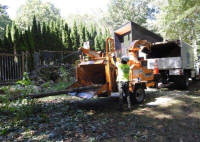 Paulo Landscaping and Tree Service in Orange, CT