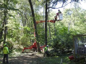 Paulo Landscaping and Tree Service in Orange, CT