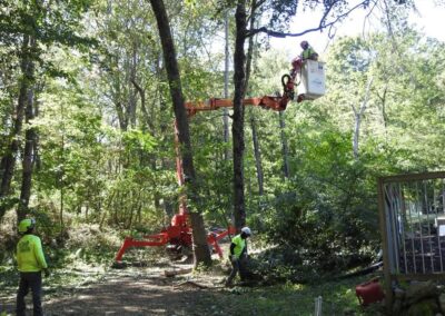 Paulo Landscaping and Tree Service in Orange, CT