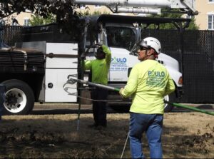Commercial Tree Trimming & Removal Services in North Haven, CT
