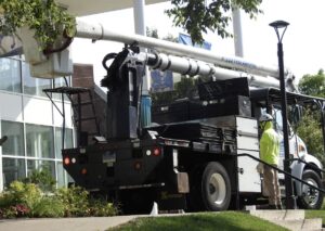 Commercial Tree Removal Company in Orange, CT by Paulo Landscaping and Tree Service