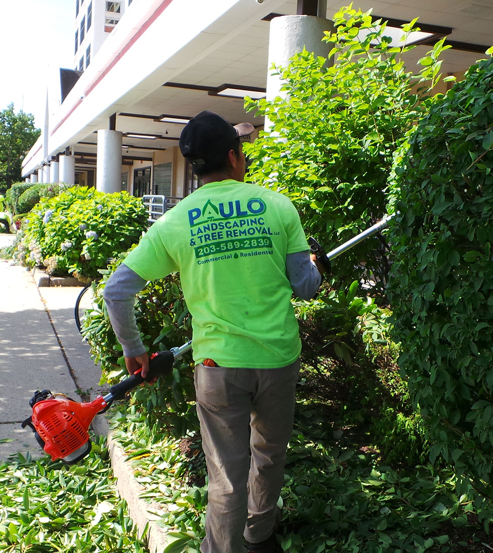 commercial bush trimming