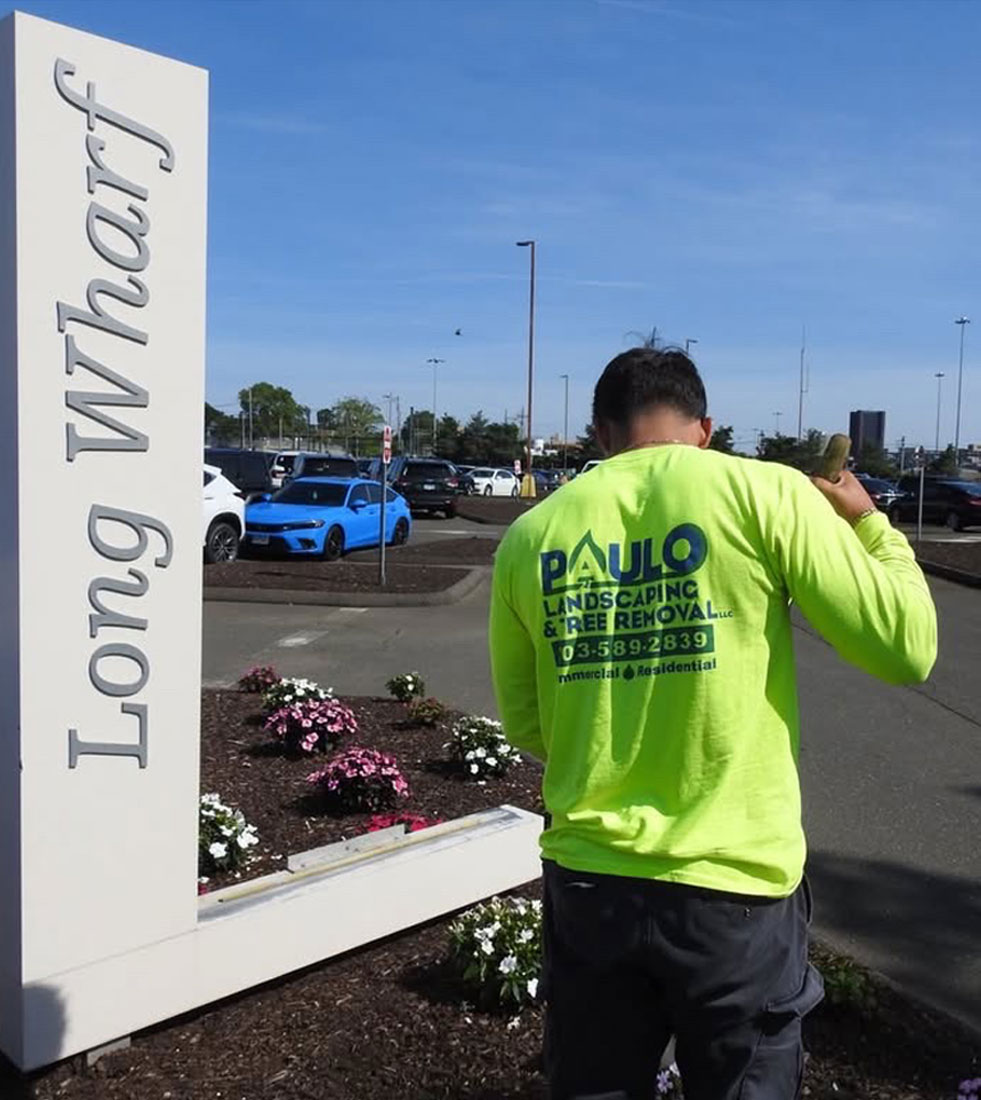 commercial landscaping