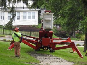Commercial Tree Removal Company in Orange, CT by Paulo Landscaping and Tree Service