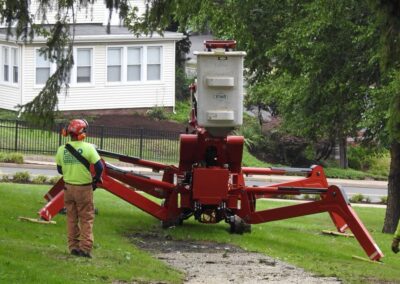 Commercial Tree Removal Company in Orange, CT by Paulo Landscaping and Tree Service