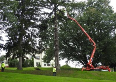 Commercial Tree Removal Company in Orange, CT by Paulo Landscaping and Tree Service