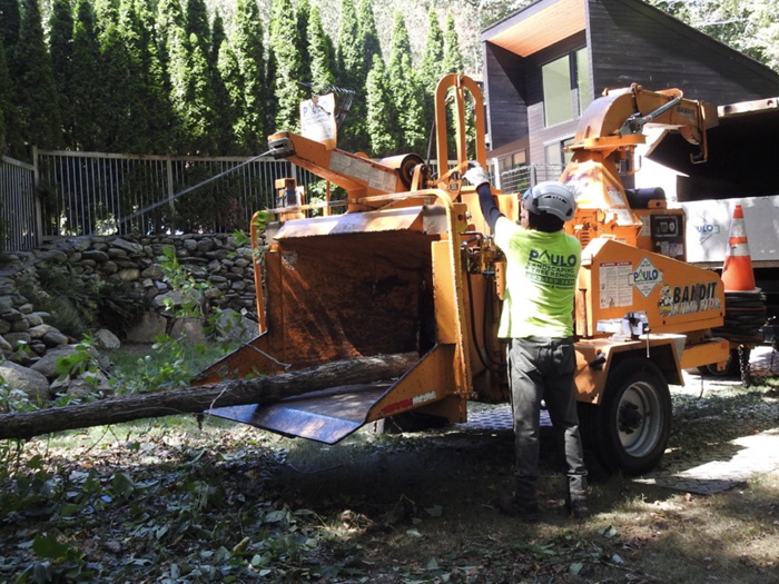 storm-cleanup Commercial Tree Removal Job