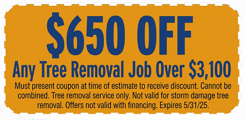 650-off-coupon