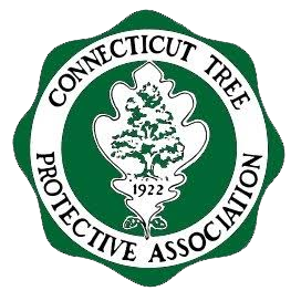 CTPA-Logo CTPA-Logo