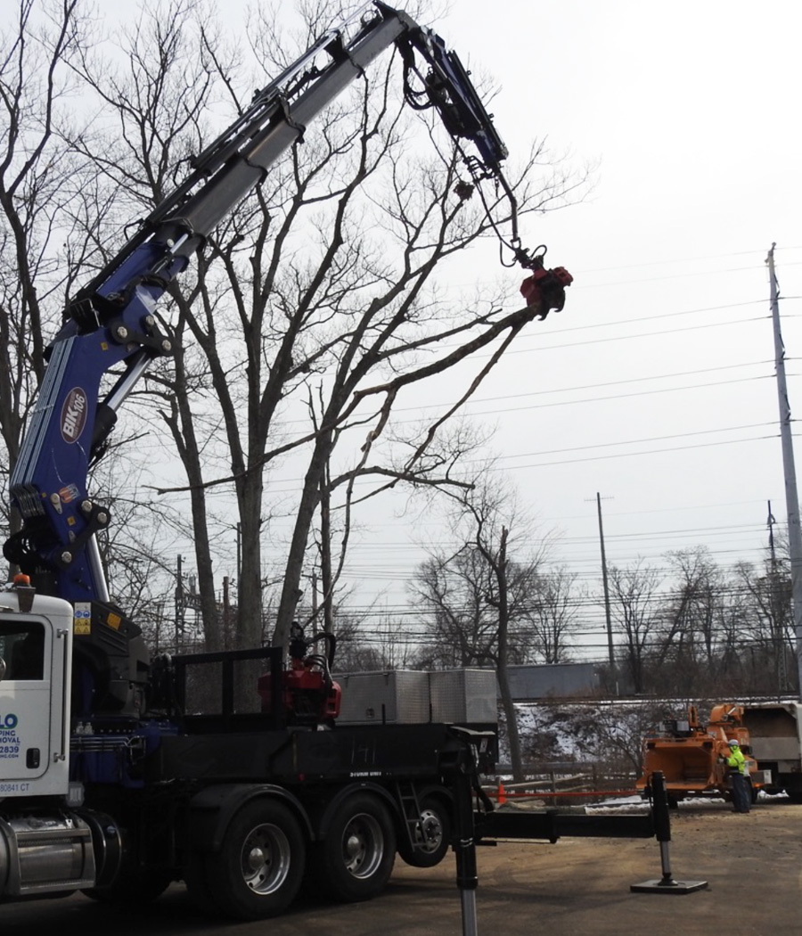 bik-truck-tree-removal-side BIK Truck Tree Removal