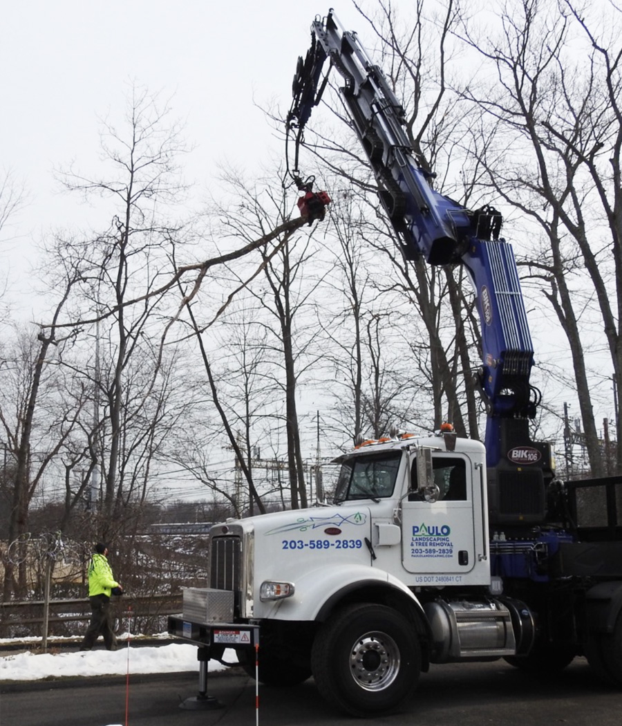 bik-truck-tree-removal BIK Truck Tree Removal CT