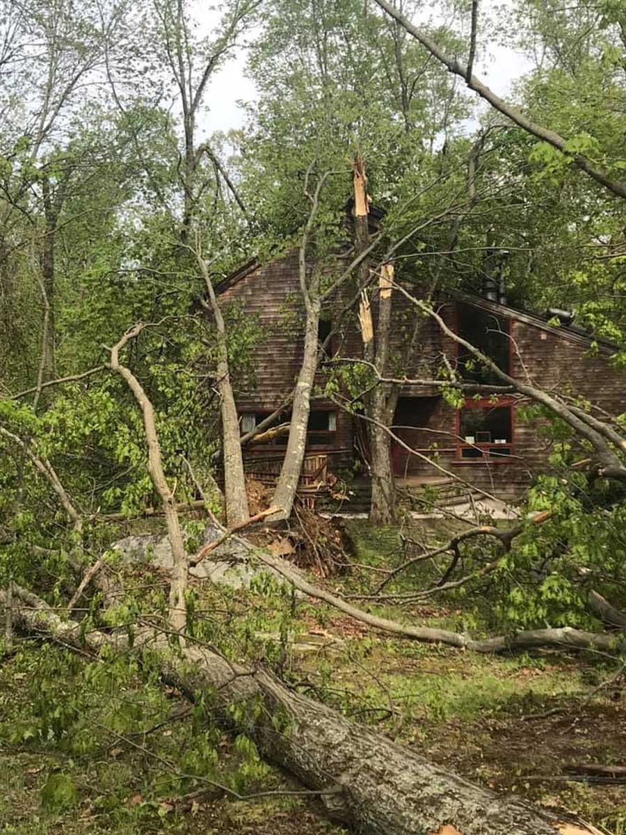 emergency-tree-removal- Hazardous tree trimming near home in Connecticut