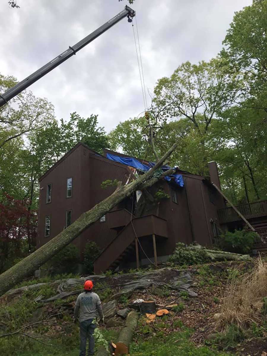 emergency-tree-removal-connecticut Emergency tree removal service in CT using crane truck