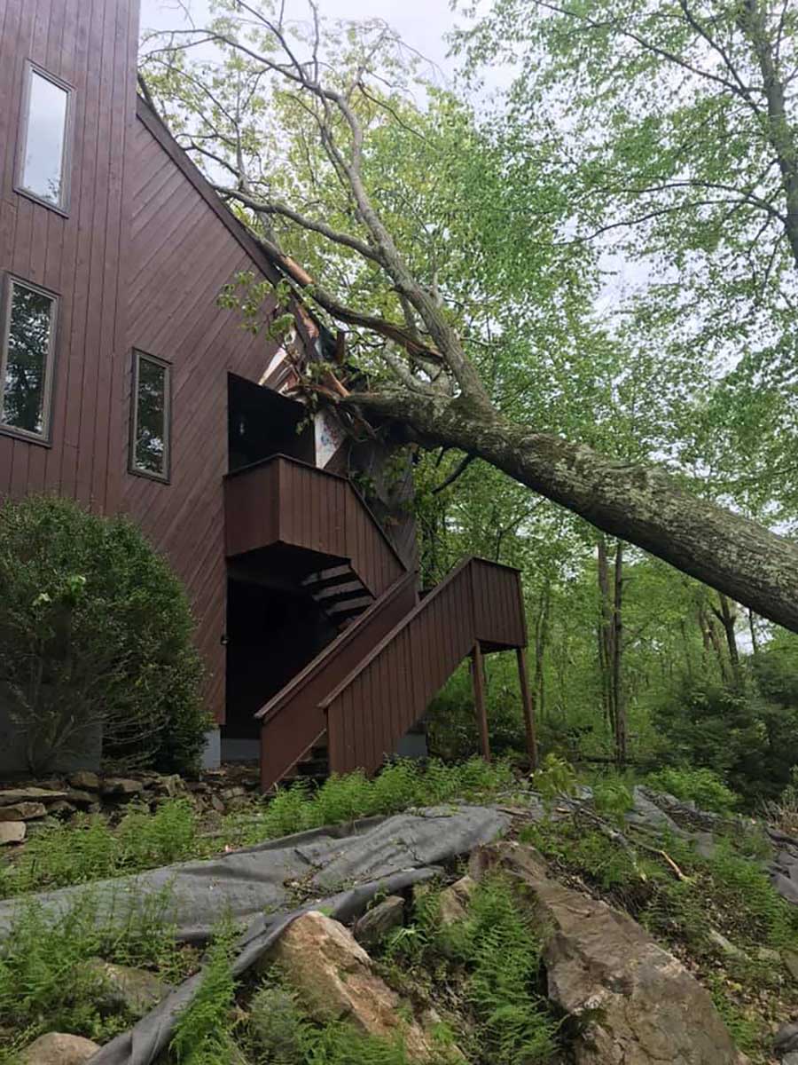 emergency-tree-removal-ct tree fallen house ct