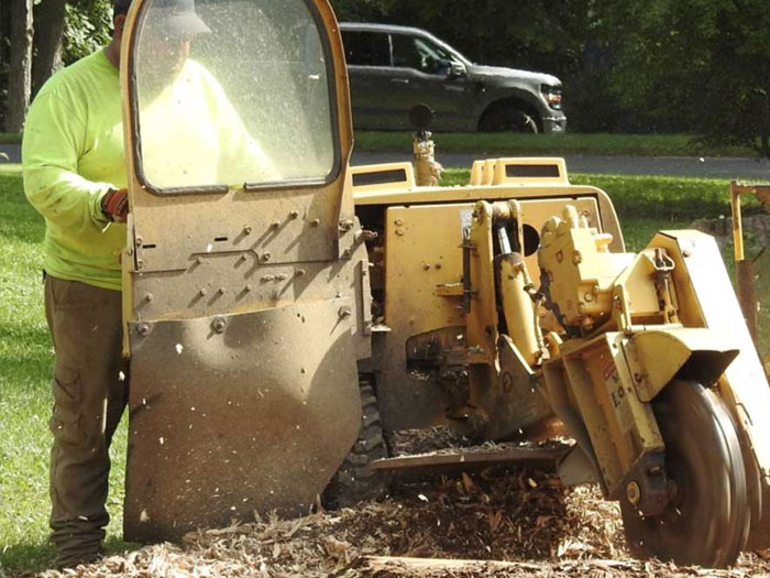 grinding-stump grinding-stump