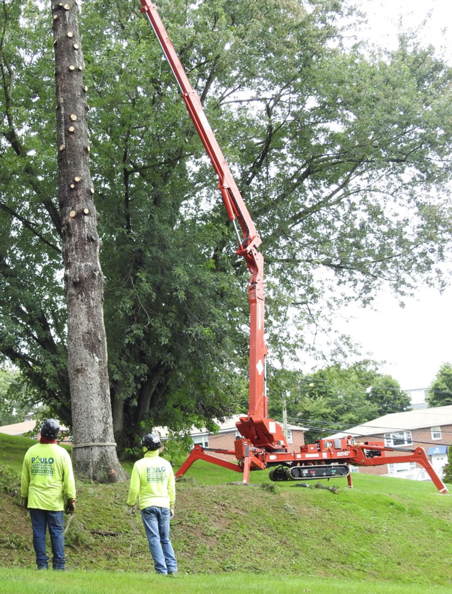 spider-lift-in-action