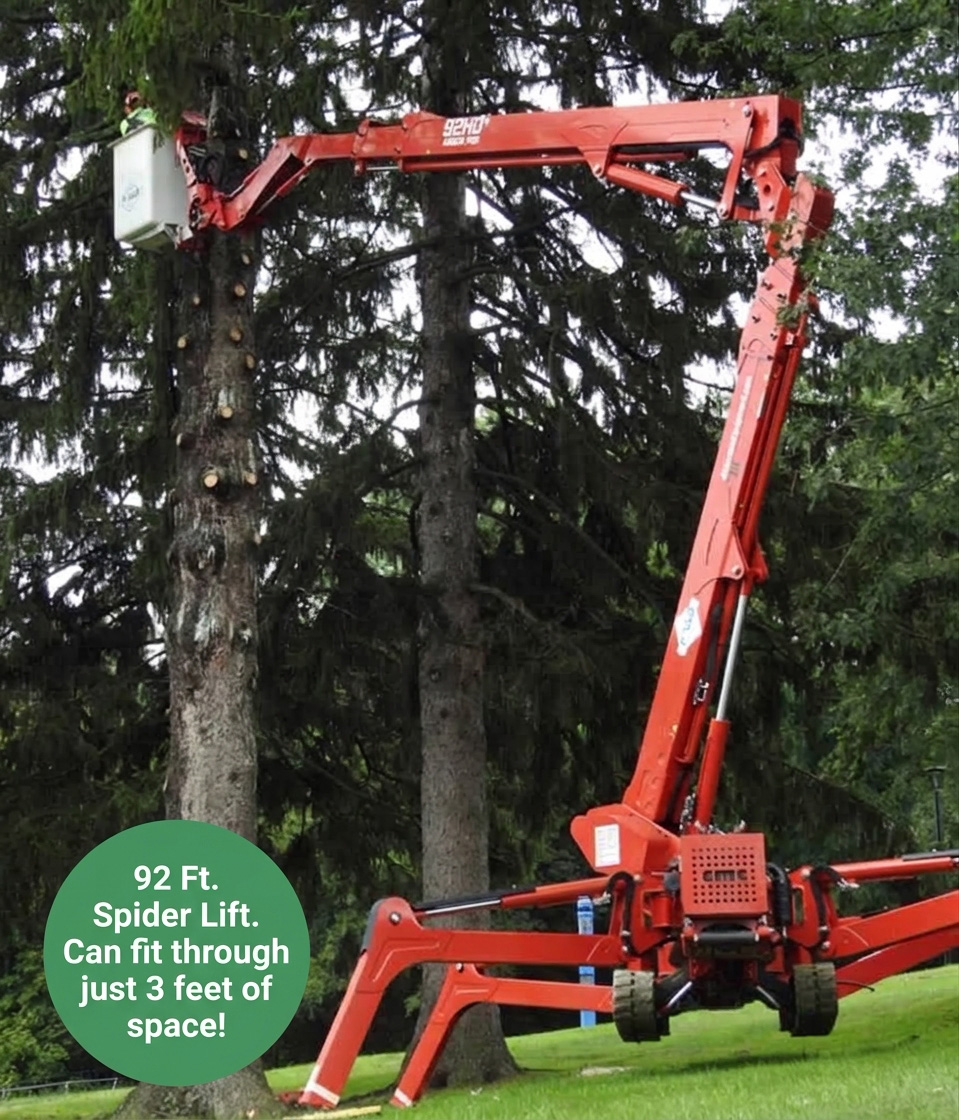 spider-lift-tree-removal tree removal with spiderlift