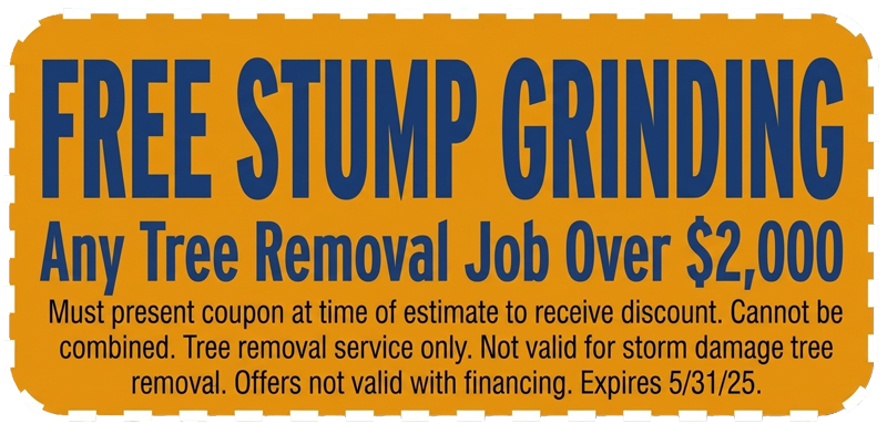stump-grinding-coupn